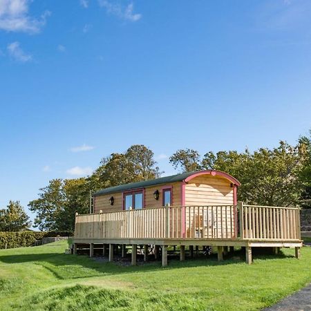 Foxglove Shepherd'S Hut Berwick Upon Tweed Extérieur photo