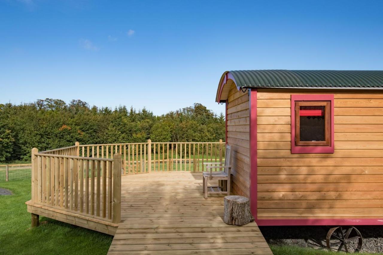 Foxglove Shepherd'S Hut Berwick Upon Tweed Extérieur photo