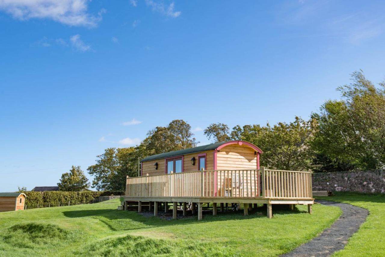 Foxglove Shepherd'S Hut Berwick Upon Tweed Extérieur photo